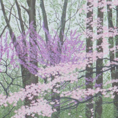 McCutchanville in April II