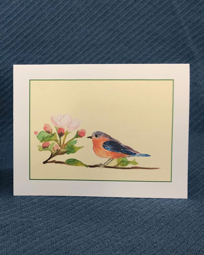 "Bluebird with Apple Blossom" - box of 10 note cards (5&1/2")